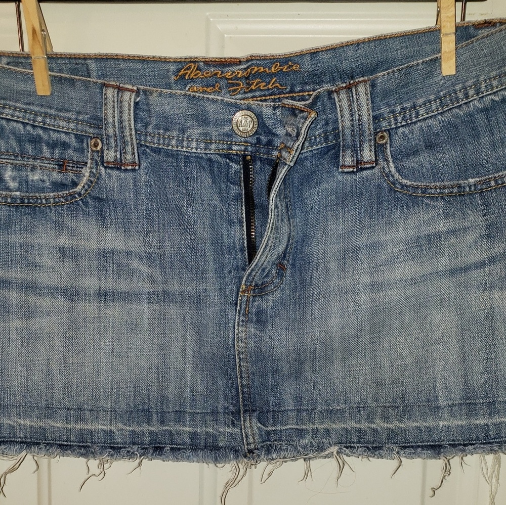 Abercrombie and Fitch Skirt